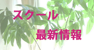 スクール情報