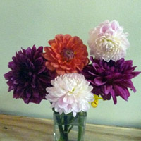flower
